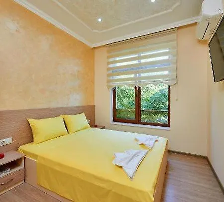 китанов 4*