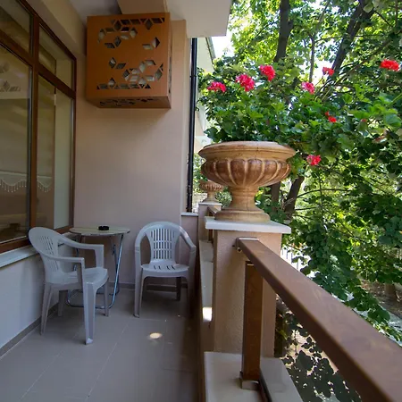 китанов 4* 포마리